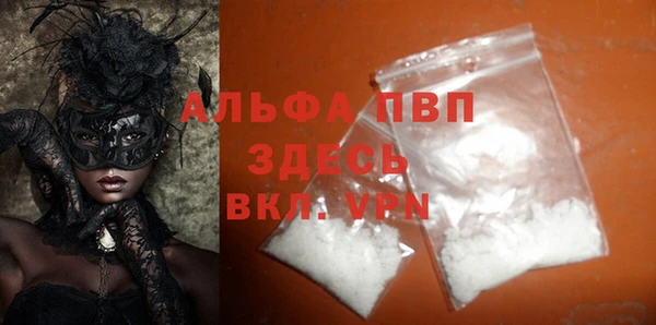 спиды Абаза