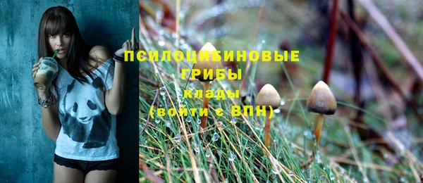 спиды Абаза