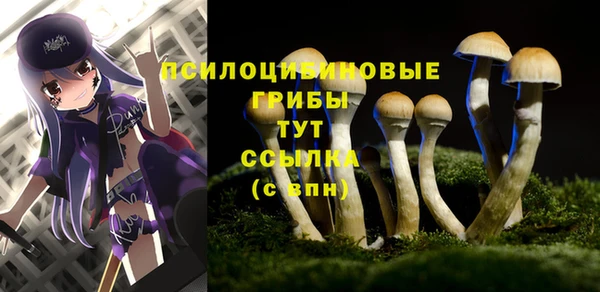 герыч Абинск