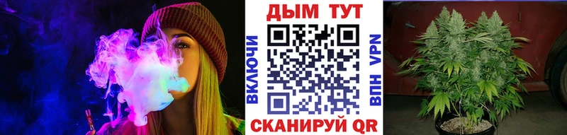 Конопля план  Иноземцево 